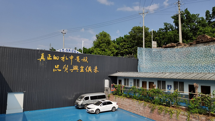 水厂环境