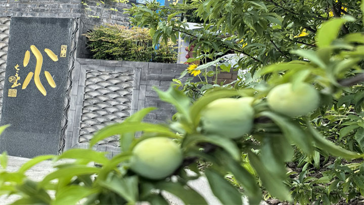 水厂环境